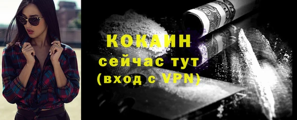 трава Белокуриха