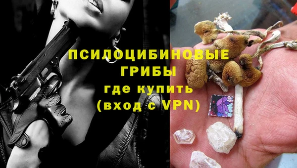 трава Белокуриха