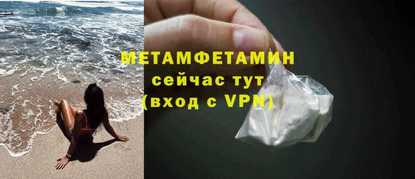 трава Белокуриха