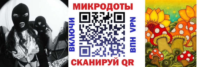 Псилоцибиновые грибы GOLDEN TEACHER  Вытегра 