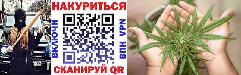 Шишки марихуана SATIVA & INDICA  наркошоп  Вытегра 